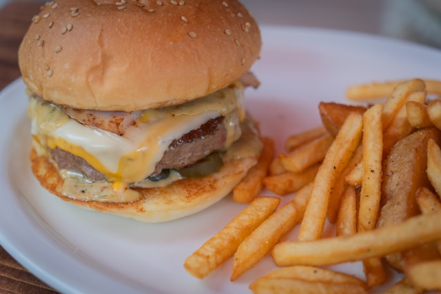 classic cheese burger with fries