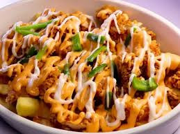 loaded fries 2