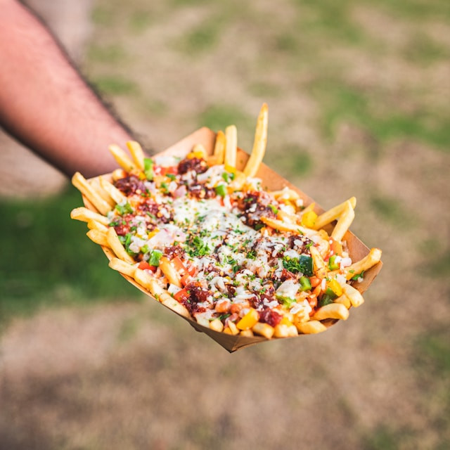 loaded fries 3